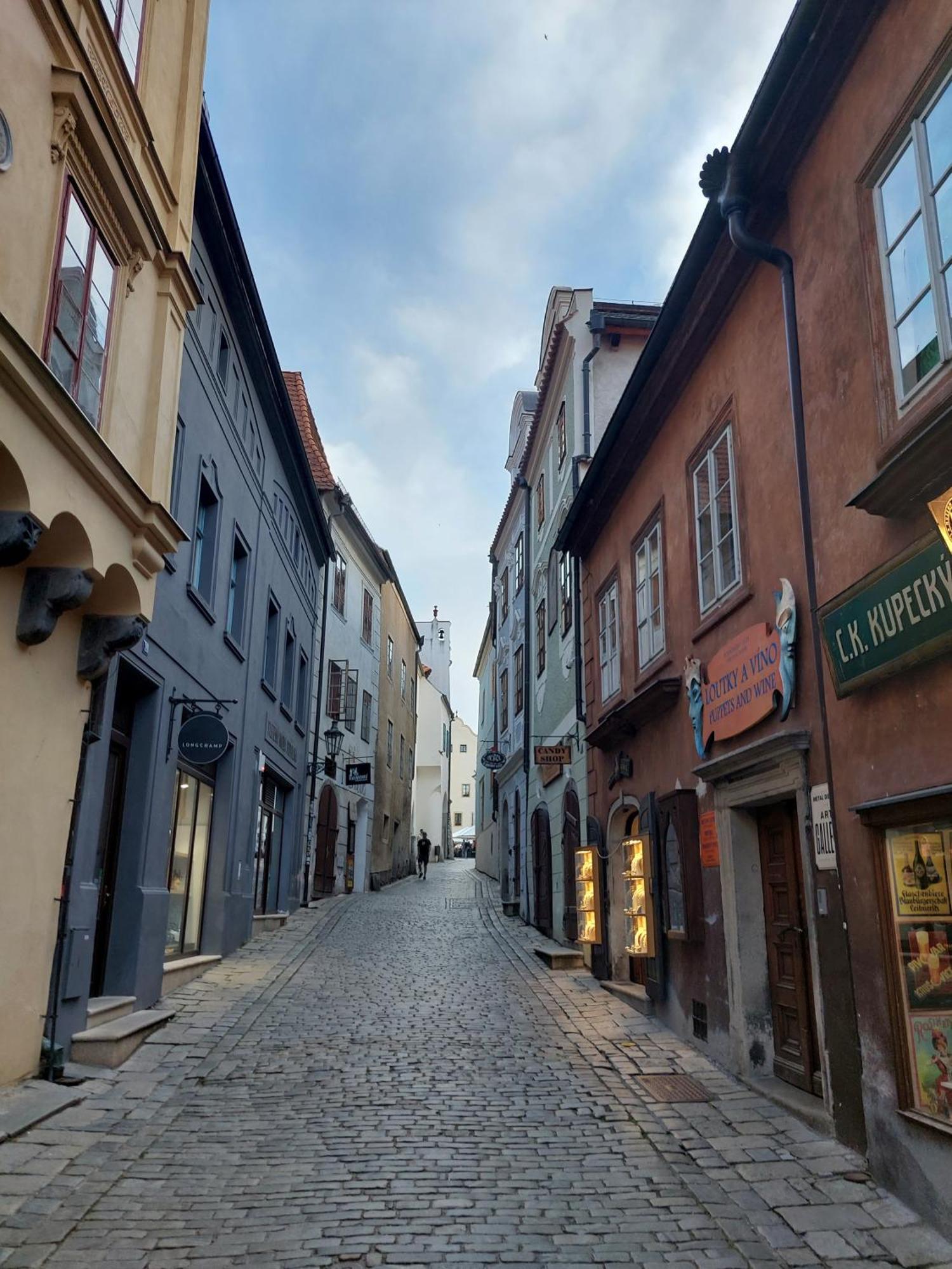 Villa Celnice Cesky Krumlov Bagian luar foto